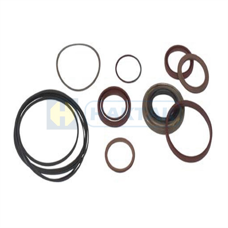 502156 Seal Kit For 484279 Motor